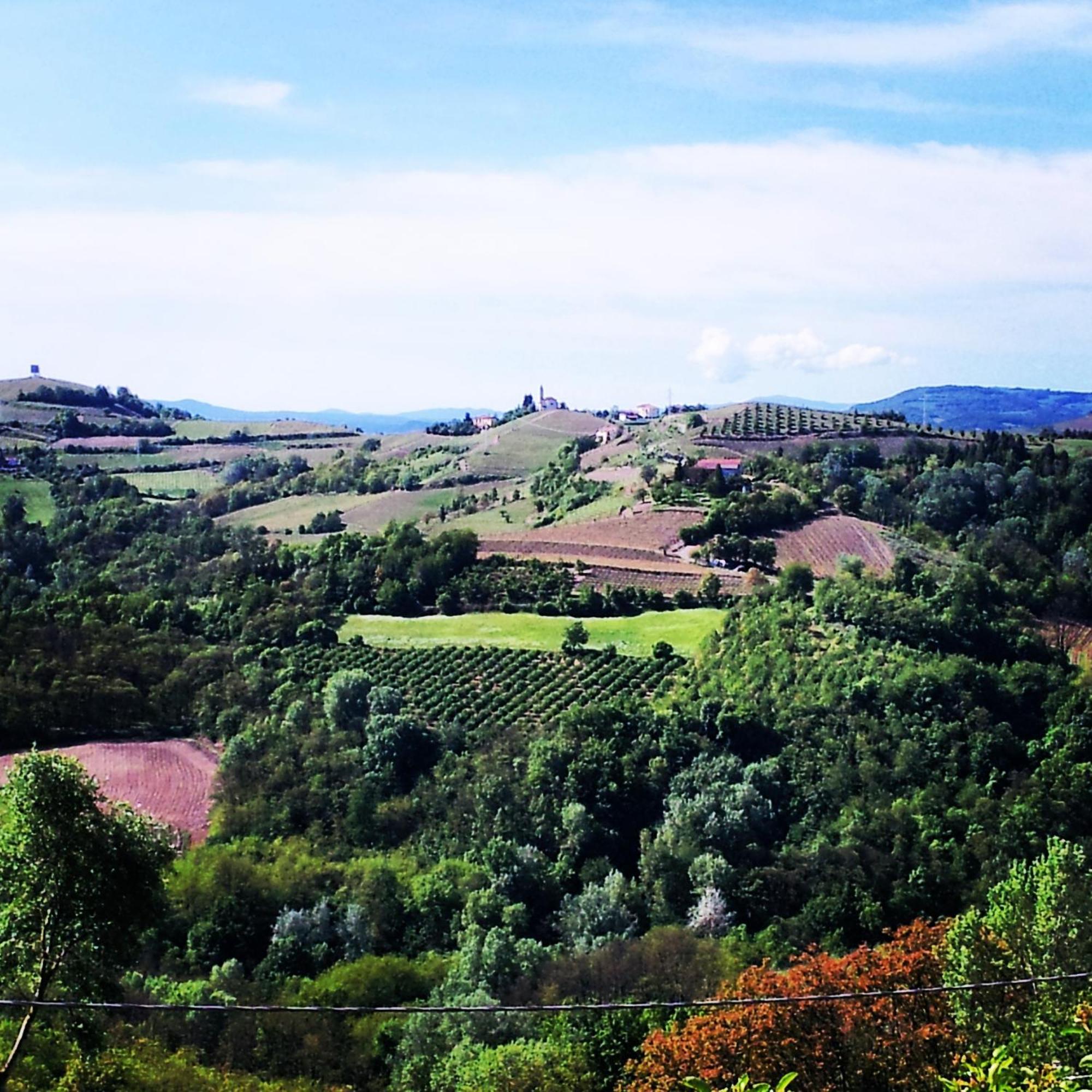 Bed&Breakfast Val d'Oche Castel Boglione Exterior foto
